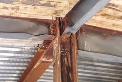 Termite Damaged Framing: